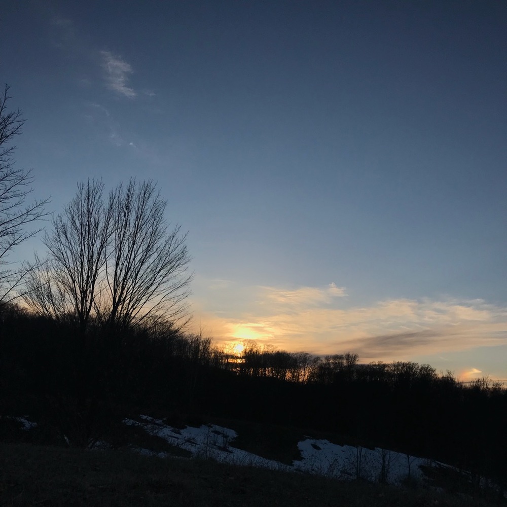 Meet your Posher, Madeline